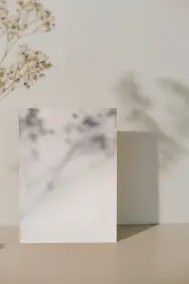 Still life against a white wall
